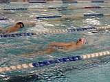Noworoczne Pływackie Zawody Korony-Swim Kielce