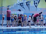 Noworoczne Pływackie Zawody Korony-Swim Kielce