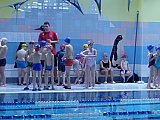 Noworoczne Pływackie Zawody Korony-Swim Kielce