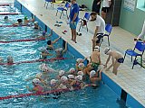 1 runda Małej Świętokrzyskiej Ligi Pływackiej - Stasz&oacute;w