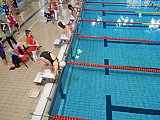 III Mikołajkowa Olimpiada Pływacka - Dębica