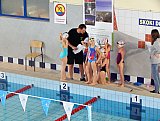 IV Otwarte Mistrzostwa w Pływaniu Pro-Swim 2017 - Zabierz&oacute;w