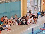 III Mikołajkowa Olimpiada Pływacka - Dębica