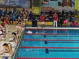 III Mikołajkowa Olimpiada Pływacka - Dębica