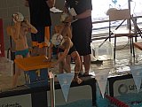 IV Otwarte Mistrzostwa w Pływaniu Pro-Swim 2017 - Zabierz&oacute;w