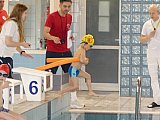 Wiosenne Zawody Korony-Swim