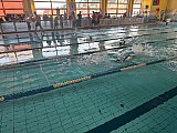 Letnie Mistrzostwa Korony-Swim
