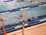 IV Otwarte Mistrzostwa w Pływaniu Pro-Swim 2017 - Zabierz&oacute;w