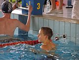 5 runda Dużej Świętokrzyskiej Ligi Pływackiej - Sandomierz