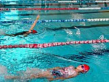 Zawody Korony-Swim na zakończenie sezonu 2024/2025