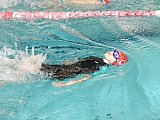 Wiosenne Zawody Korony-Swim