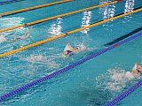 III Mikołajkowa Olimpiada Pływacka - Dębica
