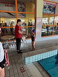 Letnie Mistrzostwa Korony-Swim