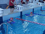Noworoczne Pływackie Zawody Korony-Swim Kielce