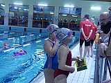 Noworoczne Pływackie Zawody Korony-Swim Kielce