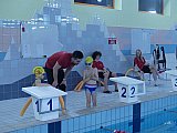 Noworoczne Pływackie Zawody Korony-Swim Kielce