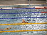 1 runda Dużej Świętokrzyskiej Ligi Pływackiej - Ostrowiec Św.