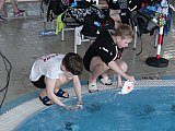Puchar Solnego Miasta  2022 - Wieliczka