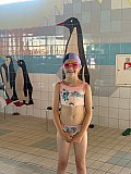 Letnie Mistrzostwa Korony-Swim