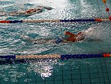 IV Otwarte Mistrzostwa w Pływaniu Pro-Swim 2017 - Zabierz&oacute;w