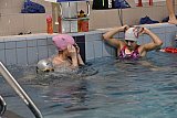 Ob&oacute;z sportowy - Krośnice