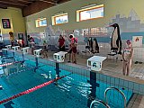 Letnie Mistrzostwa Korony-Swim