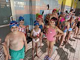 Letnie Mistrzostwa Korony-Swim