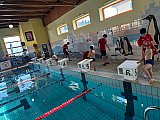 Letnie Mistrzostwa Korony-Swim
