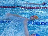 Noworoczne Pływackie Zawody Korony-Swim Kielce