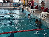 Letnie Mistrzostwa Korony-Swim