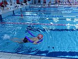 Noworoczne Pływackie Zawody Korony-Swim Kielce
