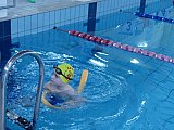 Noworoczne Pływackie Zawody Korony-Swim Kielce
