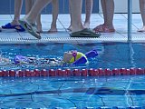 Noworoczne Pływackie Zawody Korony-Swim Kielce