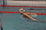 Ob&oacute;z sportowy - Krośnice