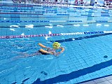 Noworoczne Pływackie Zawody Korony-Swim Kielce