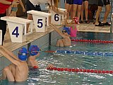 Wiosenne Zawody Korony-Swim