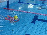 Noworoczne Pływackie Zawody Korony-Swim Kielce