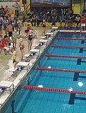 III Mikołajkowa Olimpiada Pływacka - Dębica