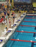 III Mikołajkowa Olimpiada Pływacka - Dębica