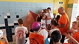 3 runda Świętokrzyskie - Już Pływam - Sandomierz