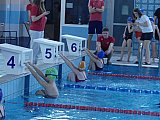 Noworoczne Pływackie Zawody Korony-Swim Kielce