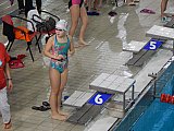 III Mikołajkowa Olimpiada Pływacka - Dębica