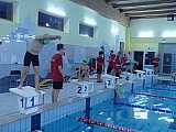 Noworoczne Pływackie Zawody Korony-Swim Kielce