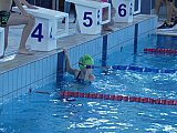 Noworoczne Pływackie Zawody Korony-Swim Kielce
