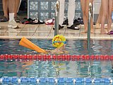 Wiosenne Zawody Korony-Swim
