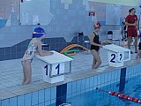Noworoczne Pływackie Zawody Korony-Swim Kielce
