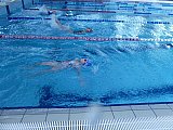 Noworoczne Pływackie Zawody Korony-Swim Kielce