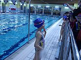 Noworoczne Pływackie Zawody Korony-Swim Kielce
