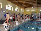 Wiosenne Zawody Korony-Swim