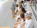 4 runda Świętokrzyskie - Już Pływam - Ostrowiec Św.